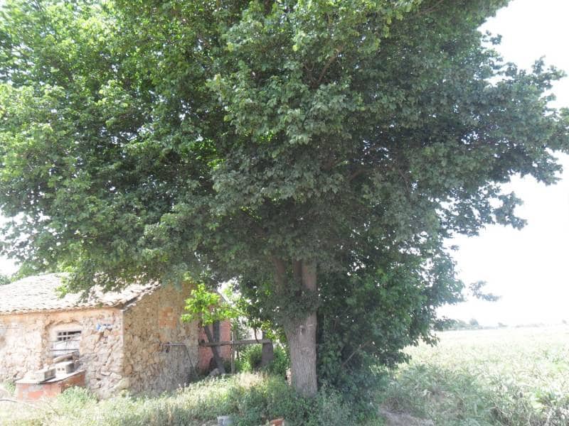 Solar/Parcela en San Fulgencio en venta - 75.000 € (Ref: 4947554)