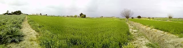 Byggegrund til salg i Dolores - € 98.000 (Ref: 6889474)