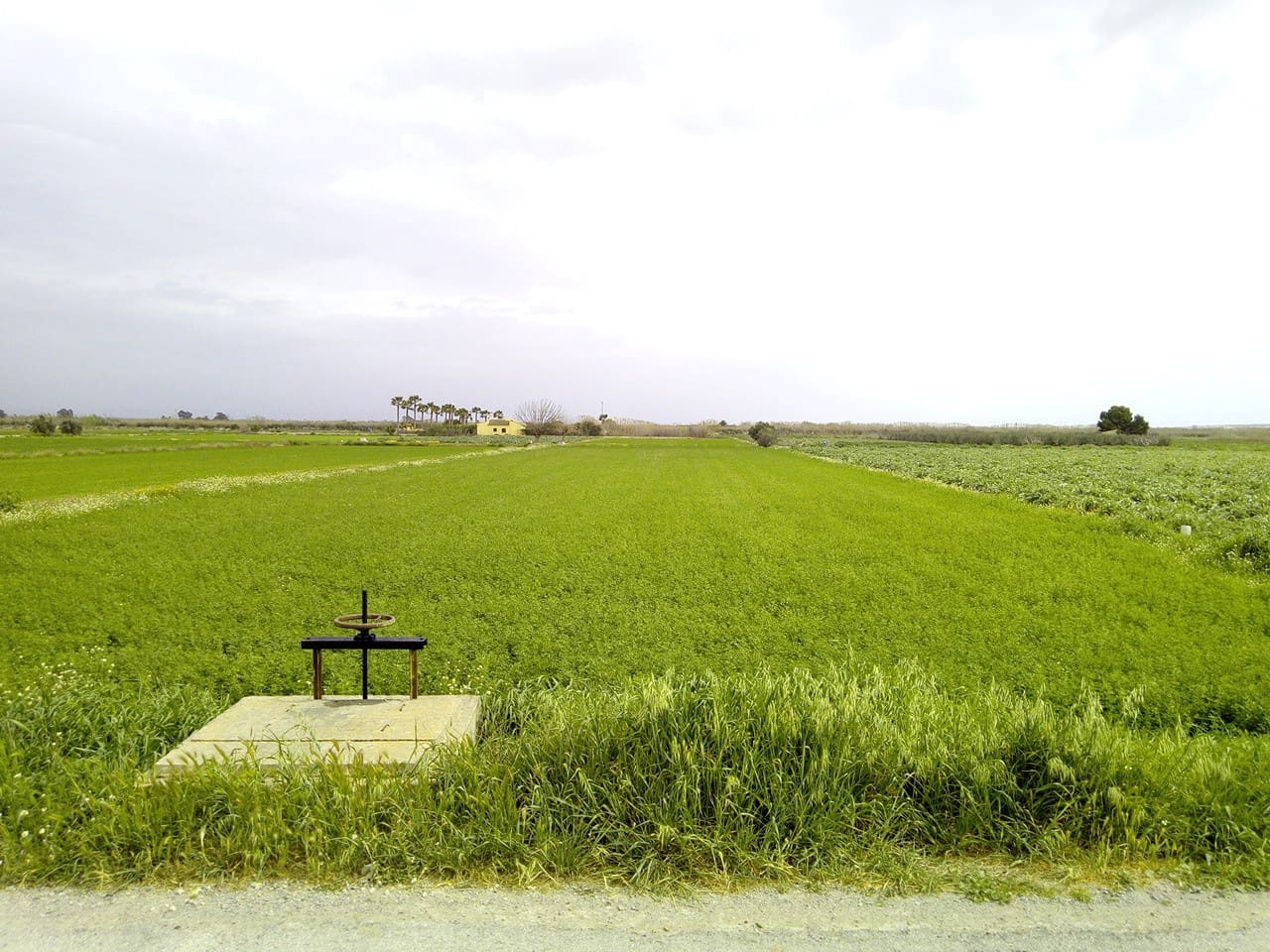 Byggetomt til salgs i Dolores - € 98 000 (Ref: 6889474)