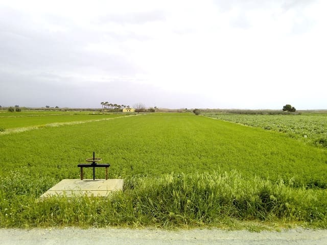 Byggegrund til salg i Dolores - € 98.000 (Ref: 6889474)