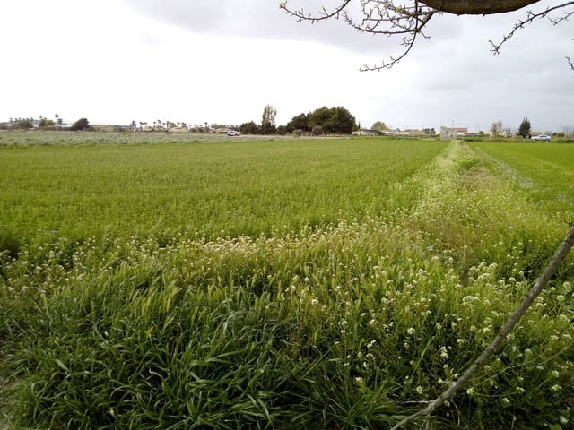 Byggegrund til salg i Dolores - € 98.000 (Ref: 6889474)