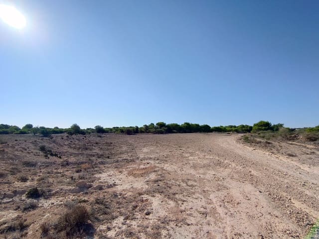 Byggegrund til salg i La Marina, Elche / Elx - € 140.000 (Ref: 7342693)