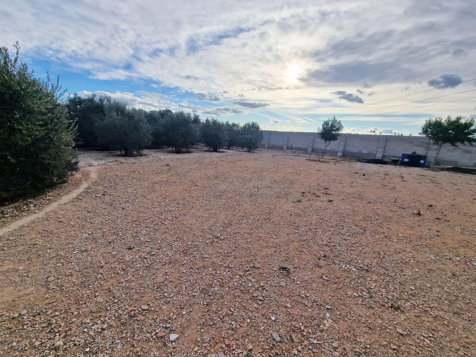 4 quarto Quinta/Casa Rural para venda em Elche / Elx com piscina garagem - 295 000 € (Ref: 7352959)