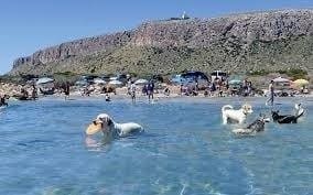 3 soverom Leilighet til salgs i Gran Alacant med svømmebasseng garasje - € 310 000 (Ref: 7437989)