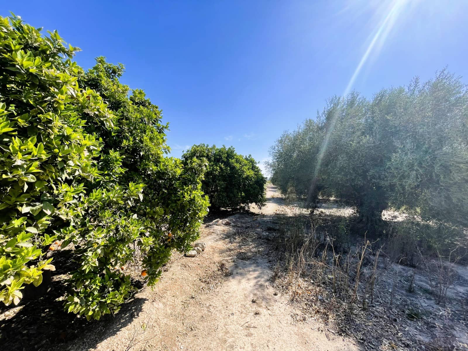 3 soveværelse Finca/Landehus til salg i La Hoya med garage - € 285.000 (Ref: 7525186)