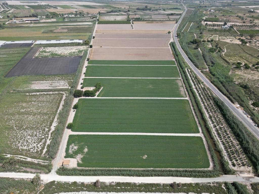 2 slaapkamer Finca/Landhuis te koop in Elche / Elx met garage - € 160.000 (Ref: 7699689)