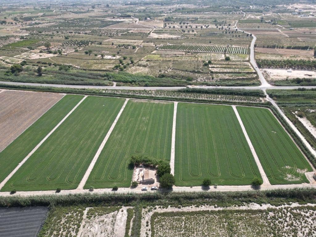 2 slaapkamer Finca/Landhuis te koop in Elche / Elx met garage - € 160.000 (Ref: 7699689)