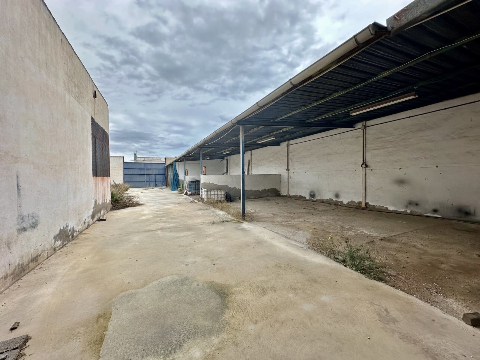 Business for sale in Catral with garage - € 500,000 (Ref: 8188648)