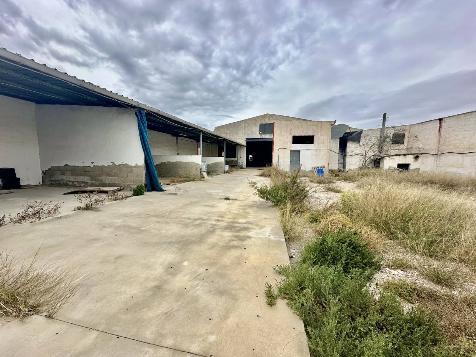 Business for sale in Catral with garage - € 500,000 (Ref: 8188648)