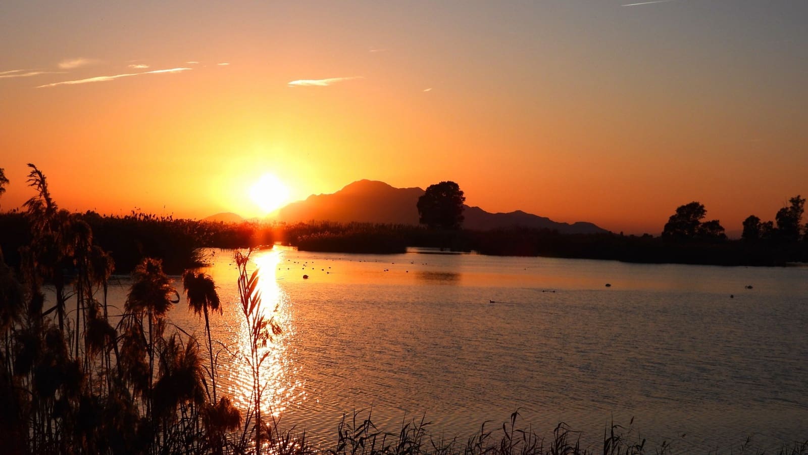 1 sypialnia Komercyjne na sprzedaż w La Marina - 145 000 € (Ref: 8197890)