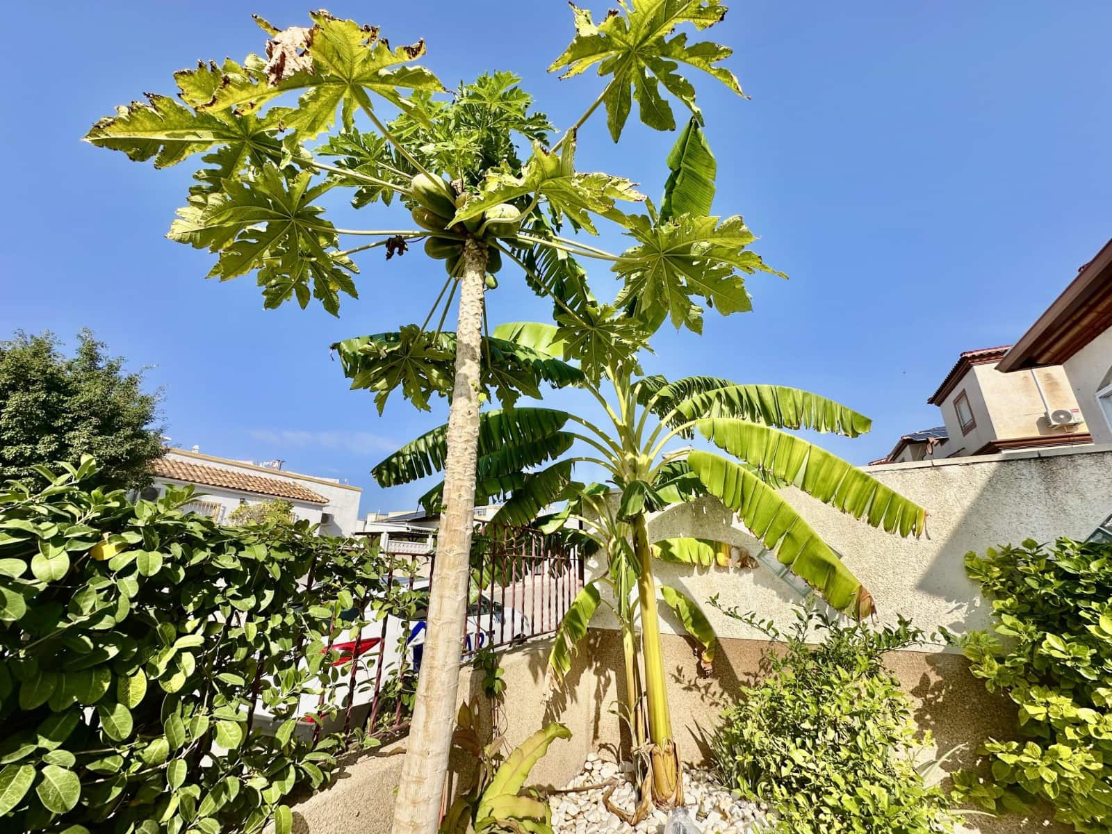 4 sypialnia Willa na sprzedaż w La Marina z basenem - 199 000 € (Ref: 8628406)