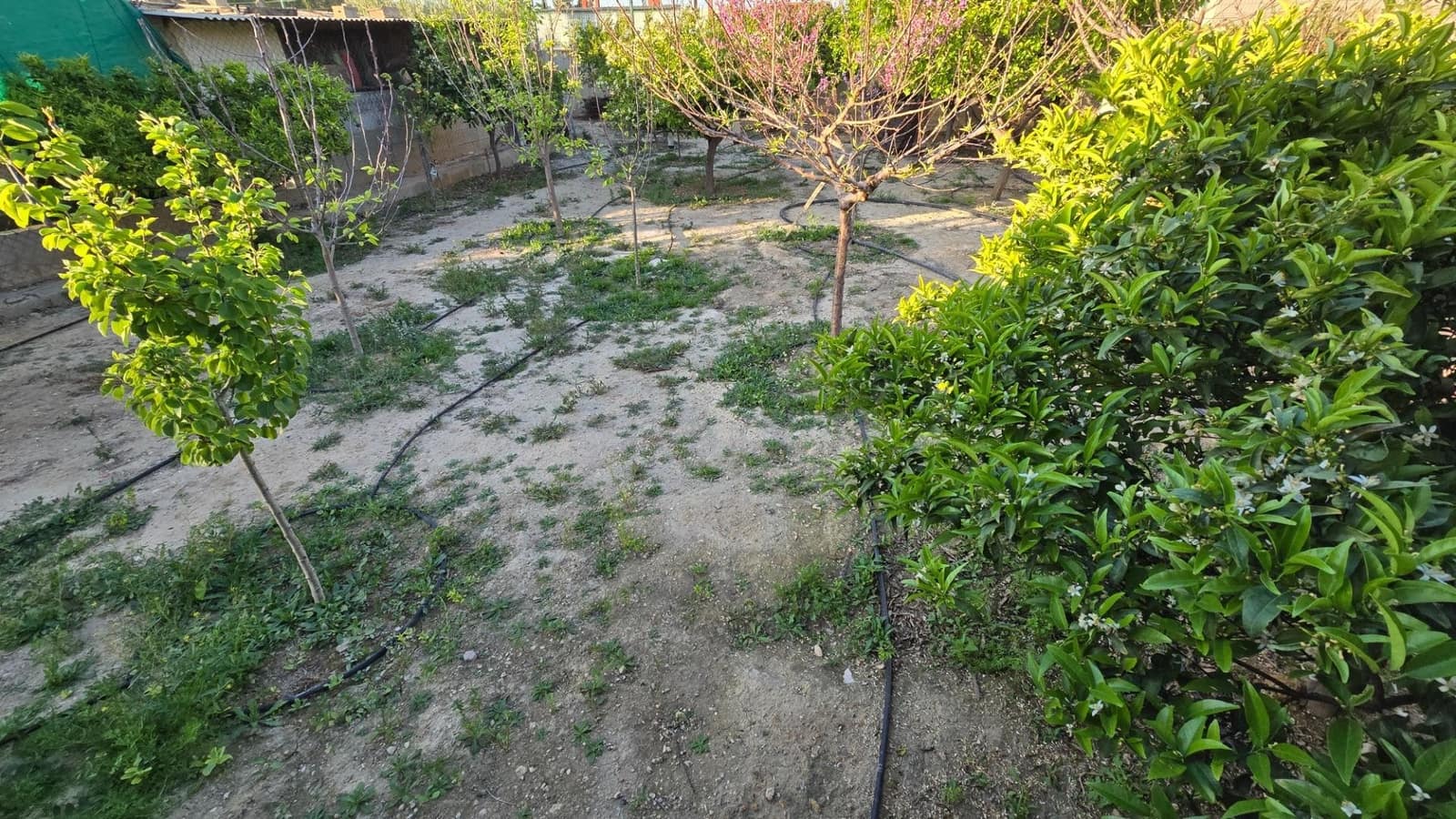 3 quarto Moradia para venda em Elche / Elx com piscina garagem - 339 900 € (Ref: 8953413)