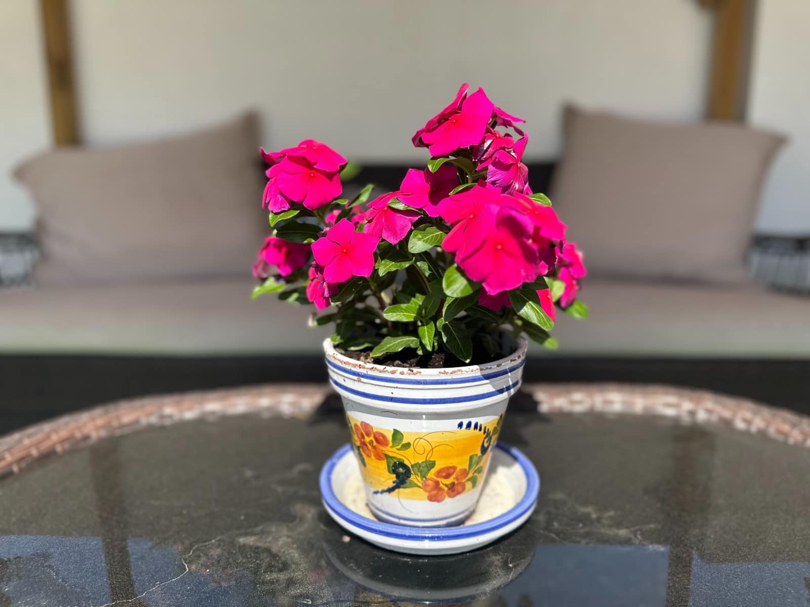 5 quarto Moradia para venda em La Marina com piscina garagem - 540 000 € (Ref: 9133124)