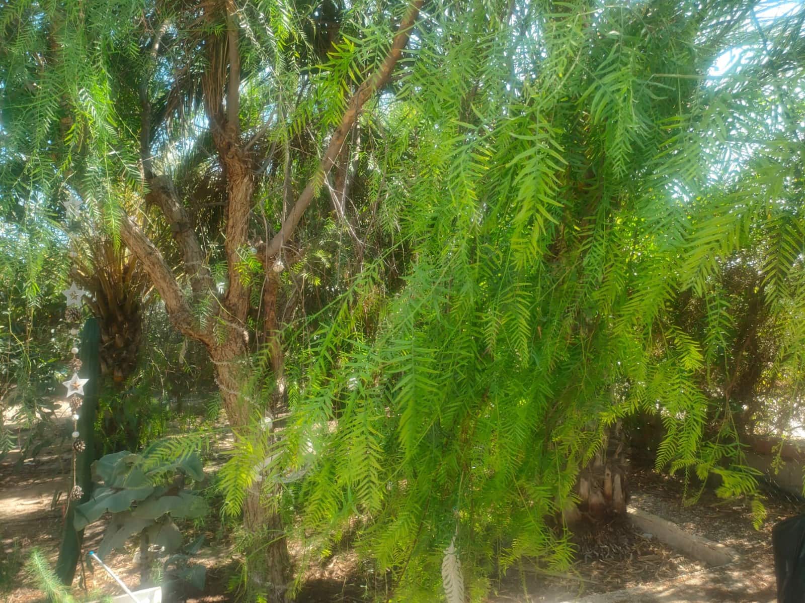 1 soveværelse Finca/Landehus til salg i La Hoya med swimmingpool - € 190.000 (Ref: 9161781)