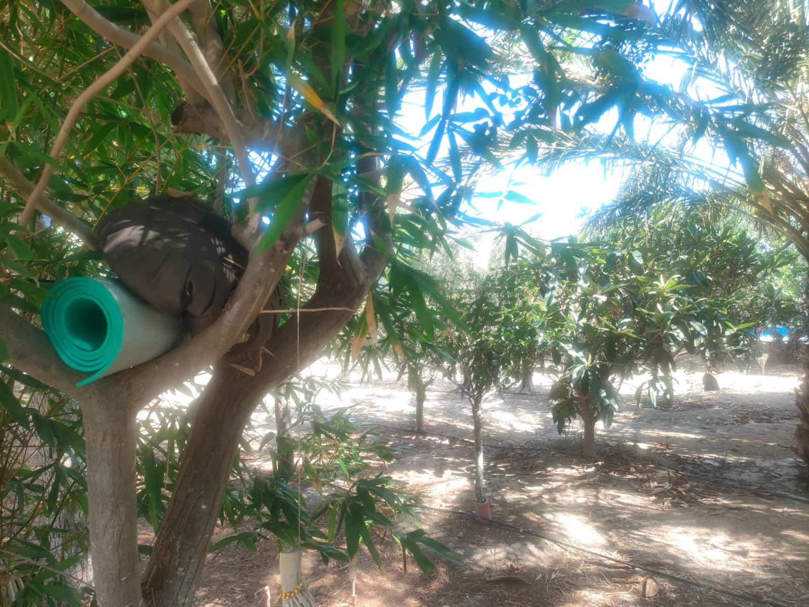 1 soveværelse Finca/Landehus til salg i La Hoya med swimmingpool - € 190.000 (Ref: 9161781)