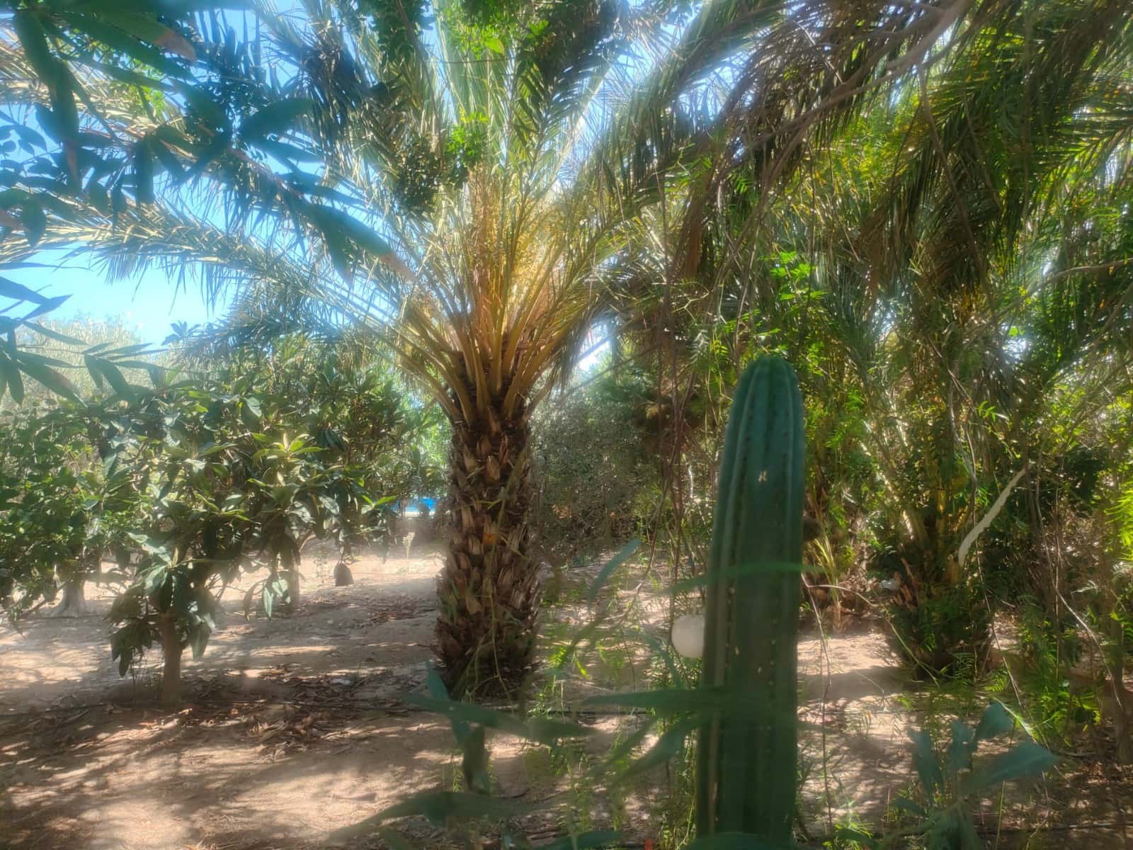 1 soveværelse Finca/Landehus til salg i La Hoya med swimmingpool - € 190.000 (Ref: 9161781)