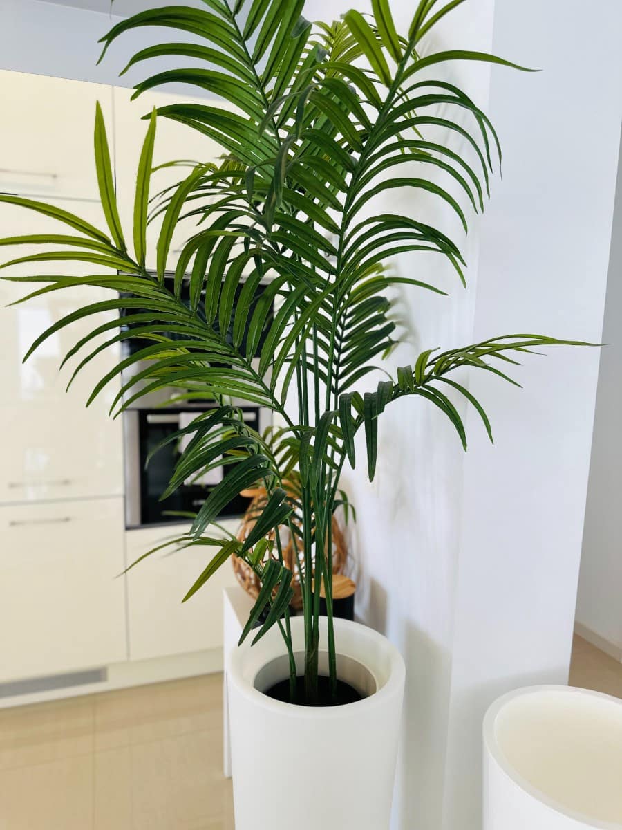 3 slaapkamer Villa te koop in La Marina met zwembad garage - € 620.000 (Ref: 9196710)