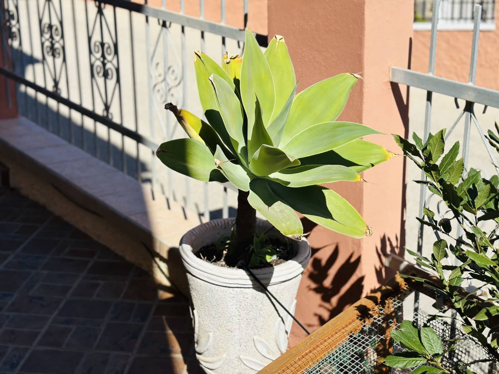 2 chambre Villa/Maison à vendre à La Marina avec garage - 210 000 € (Ref: 9354149)