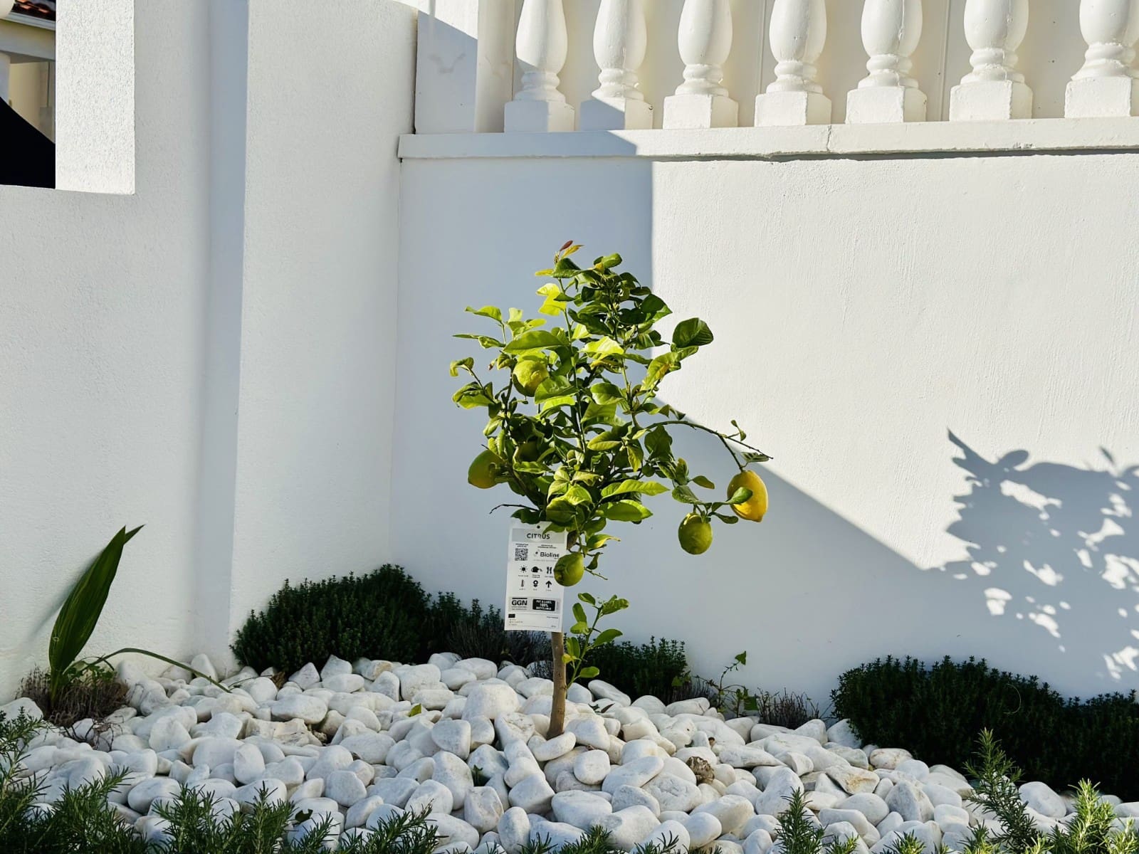 Chalet de 2 habitaciones en Algorfa en venta con piscina garaje - 235.000 € (Ref: 9417445)