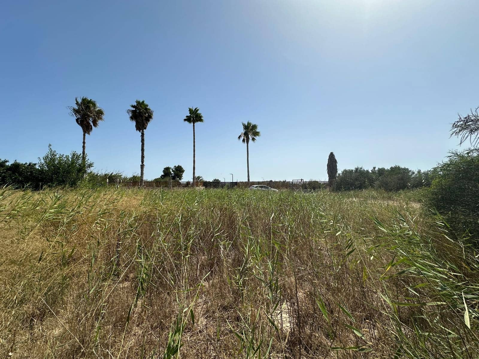 Building Plot for sale in San Fulgencio - € 65,000 (Ref: 9927906)