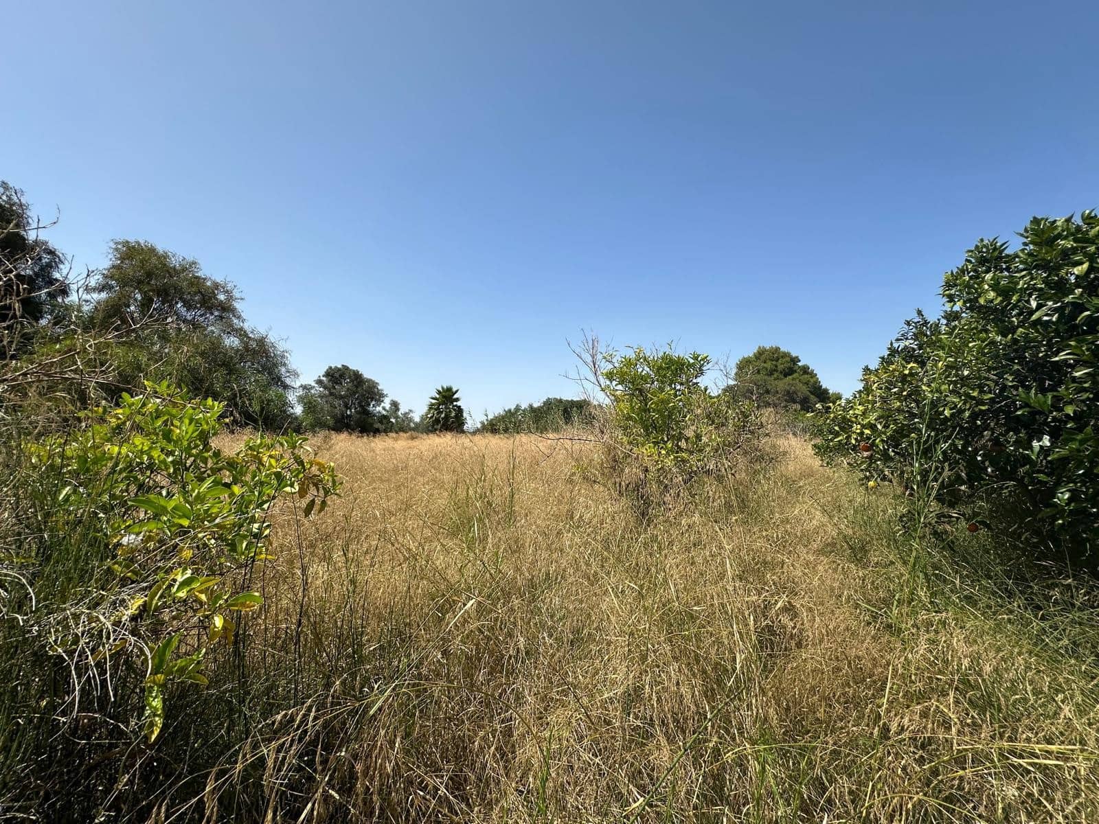 Building Plot for sale in San Fulgencio - € 65,000 (Ref: 9927906)