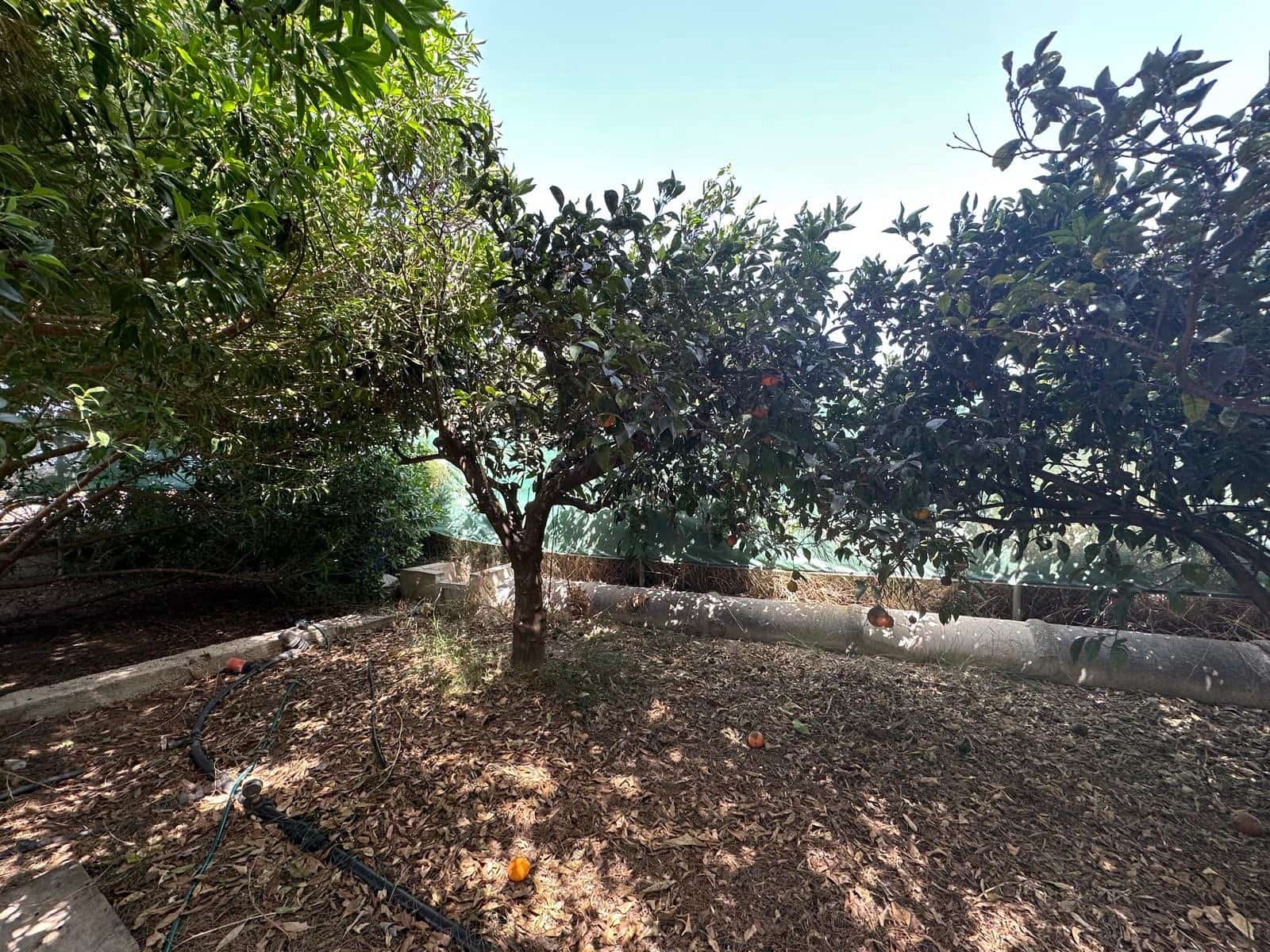 Building Plot for sale in San Fulgencio - € 65,000 (Ref: 9927906)