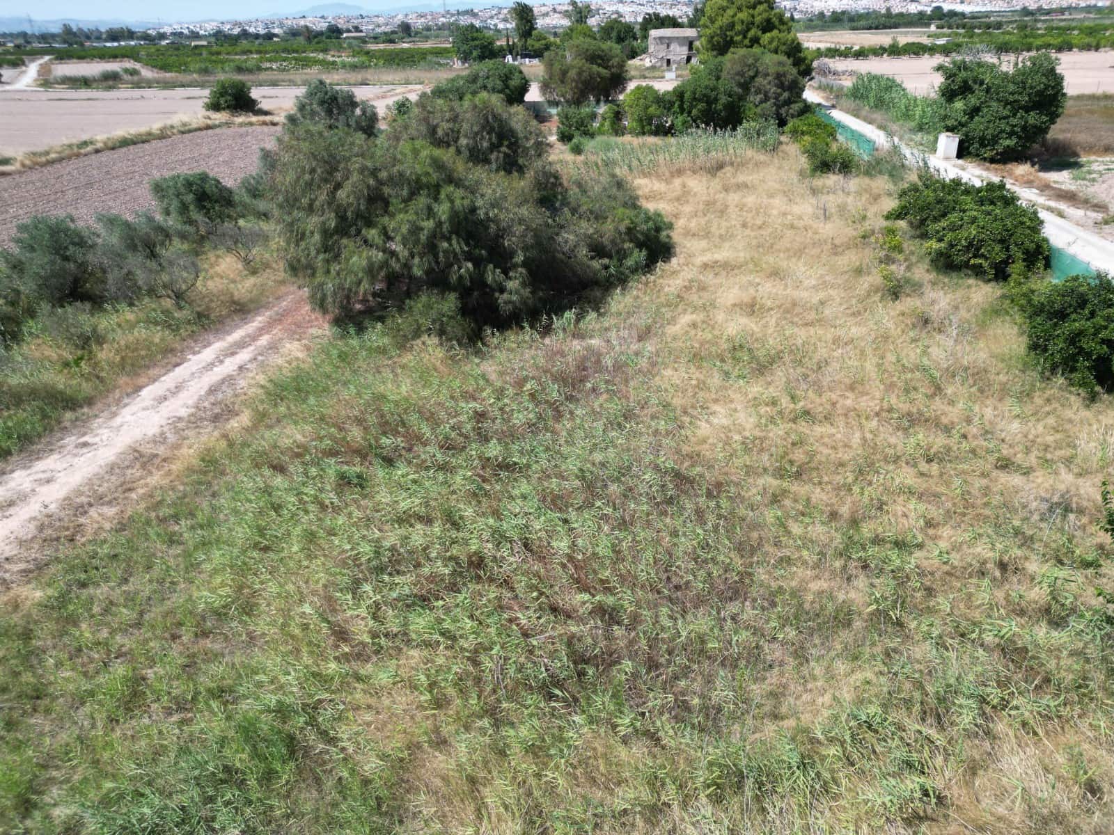 Building Plot for sale in San Fulgencio - € 65,000 (Ref: 9927906)