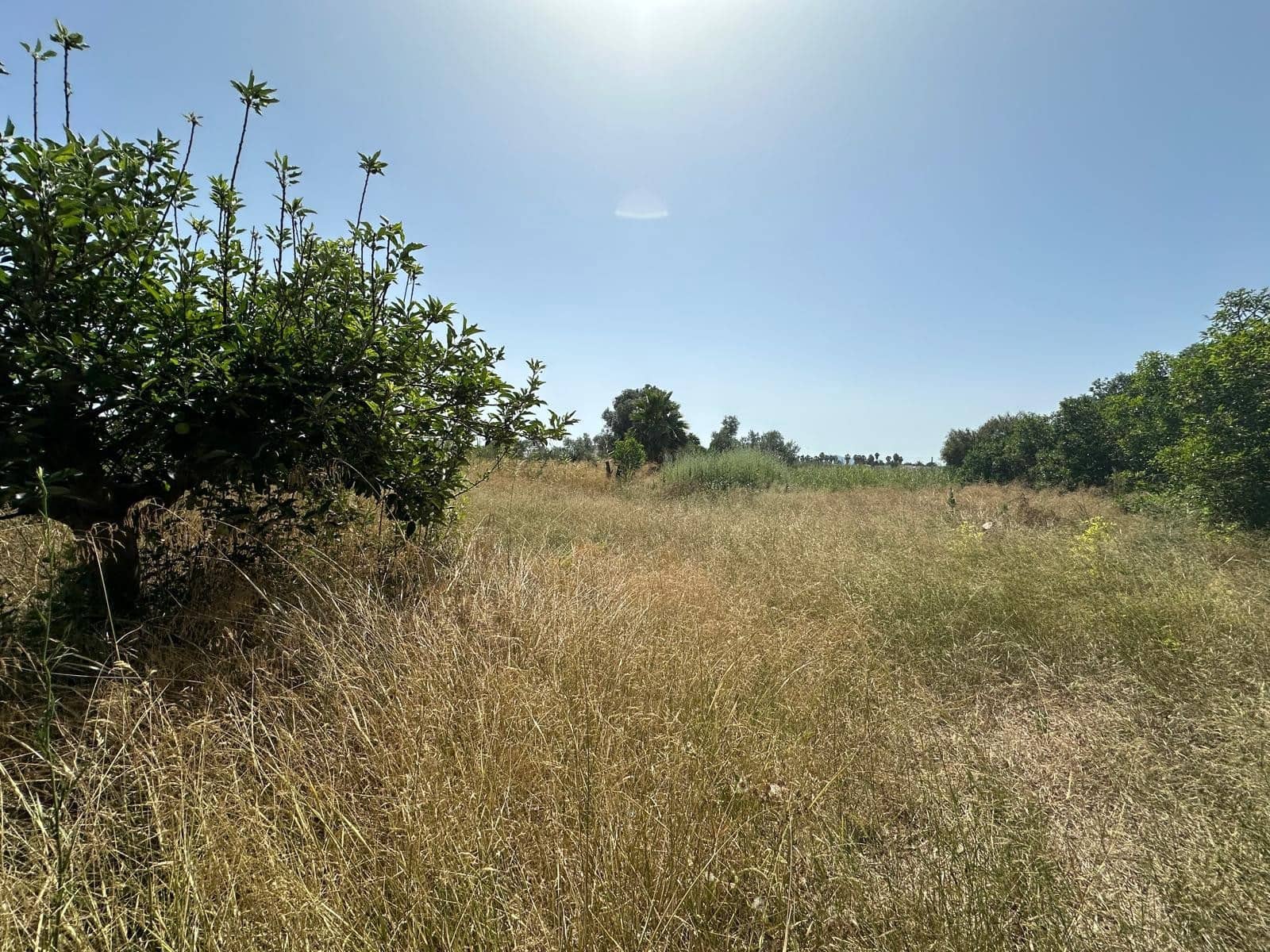 Building Plot for sale in San Fulgencio - € 65,000 (Ref: 9927906)