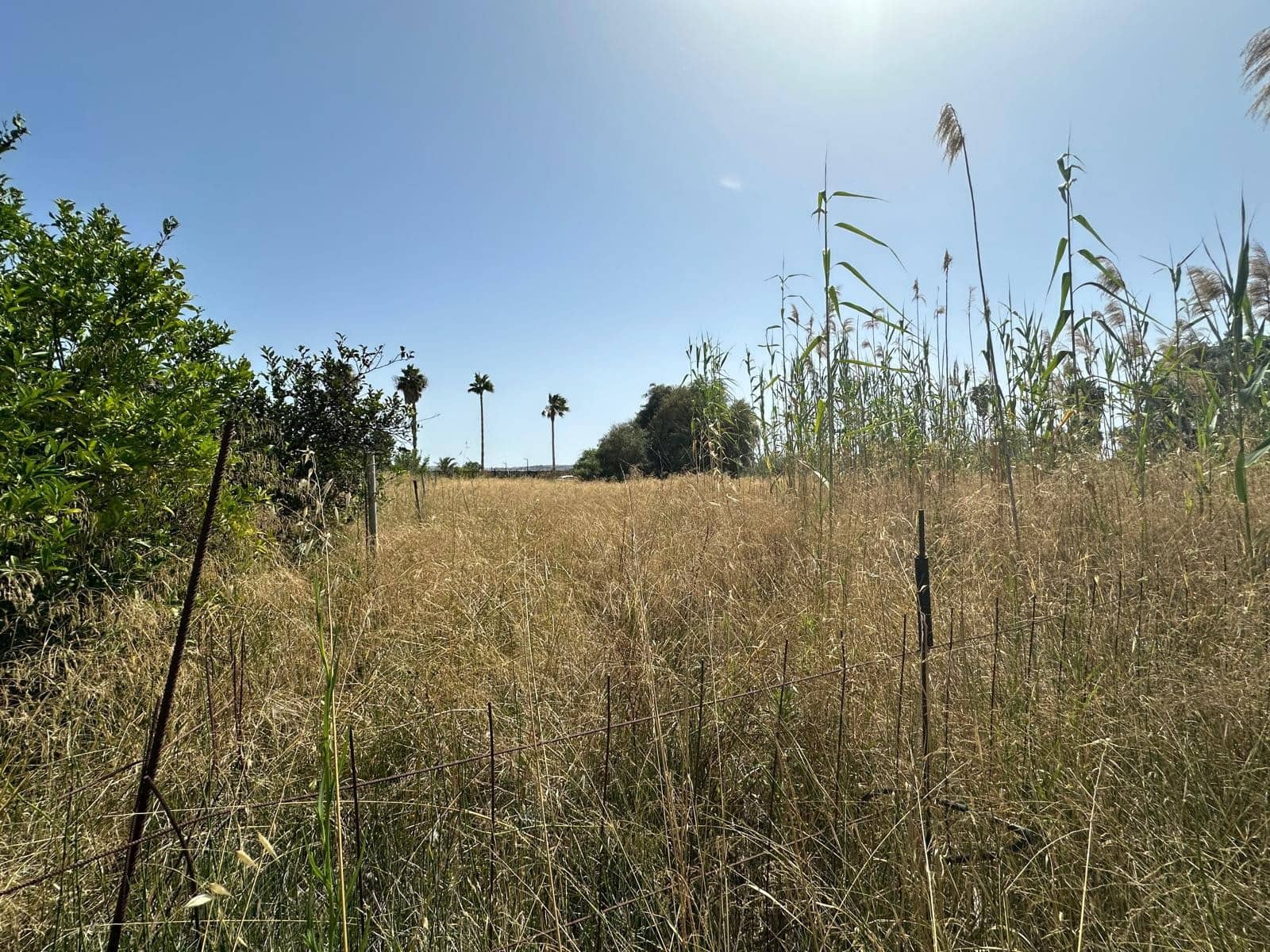 Building Plot for sale in San Fulgencio - € 65,000 (Ref: 9927906)