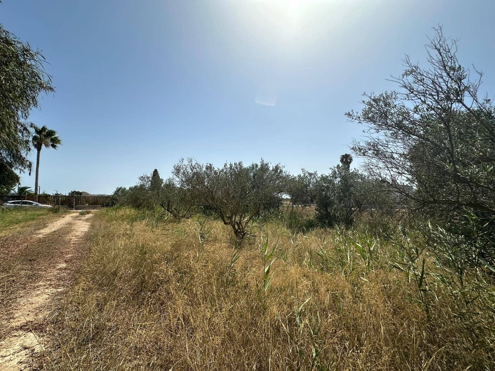 Building Plot for sale in San Fulgencio - € 65,000 (Ref: 9927906)