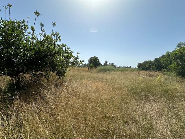 Byggetomt til salgs i San Fulgencio - € 65 000 (Ref: 9927906)
