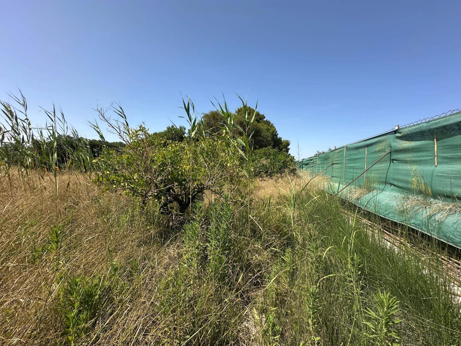 Building Plot for sale in San Fulgencio - € 65,000 (Ref: 9927906)
