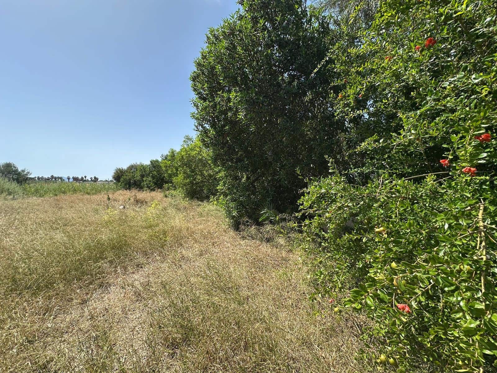 Building Plot for sale in San Fulgencio - € 65,000 (Ref: 9927906)