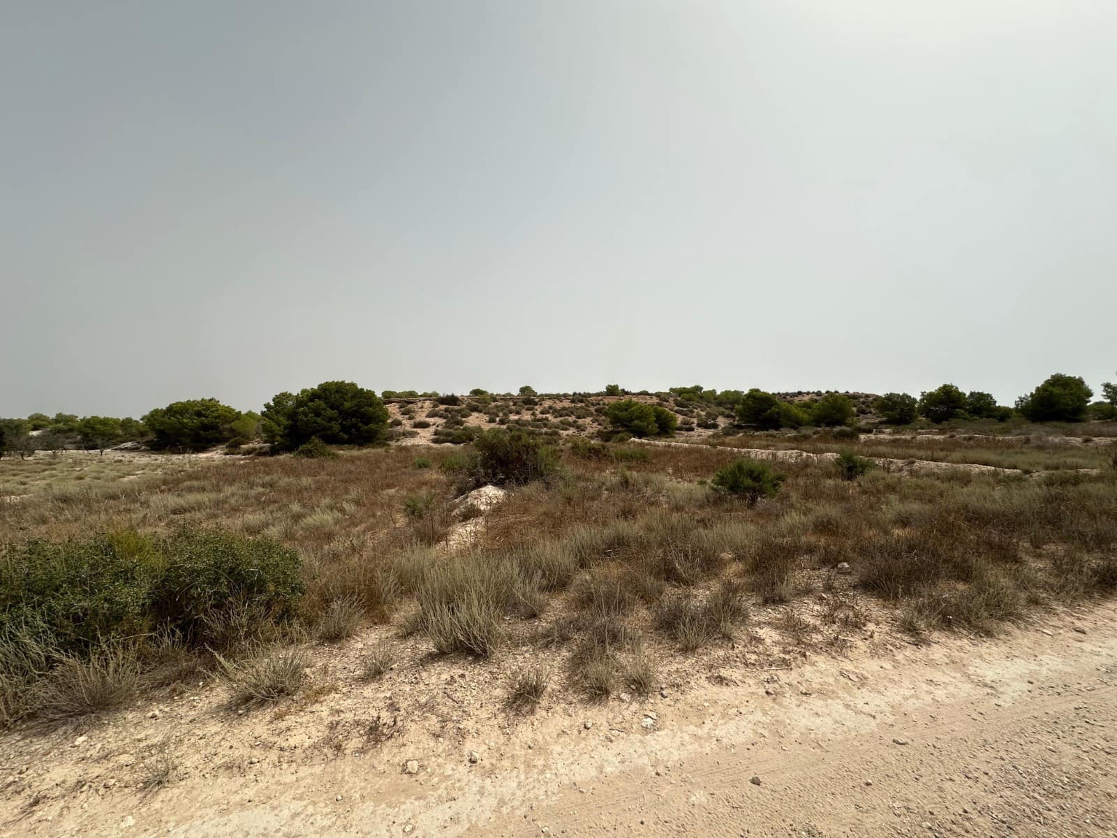 Bauplatz zu verkaufen in La Marina - 30.000 € (Ref: 9975966)