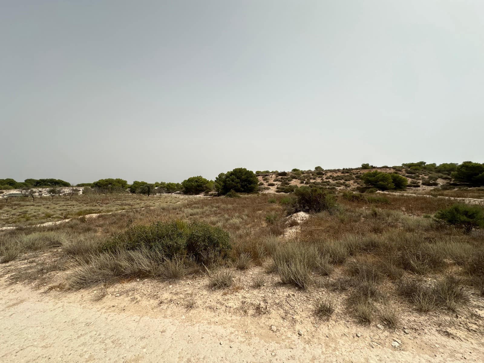 Bauplatz zu verkaufen in La Marina - 30.000 € (Ref: 9975966)