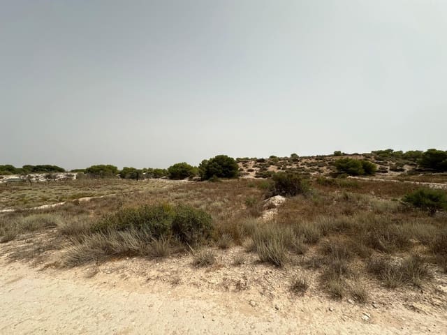 Solar/Parcela en La Marina, Elche / Elx en venta - 30.000 € (Ref: 9975966)