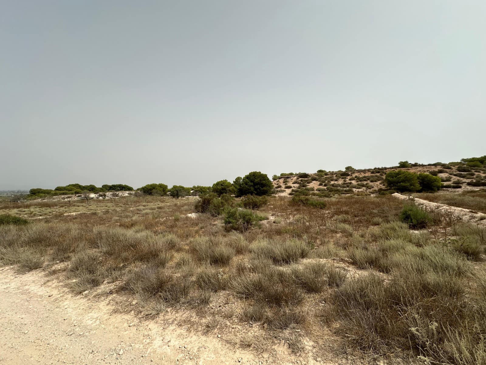 Bauplatz zu verkaufen in La Marina - 30.000 € (Ref: 9975966)