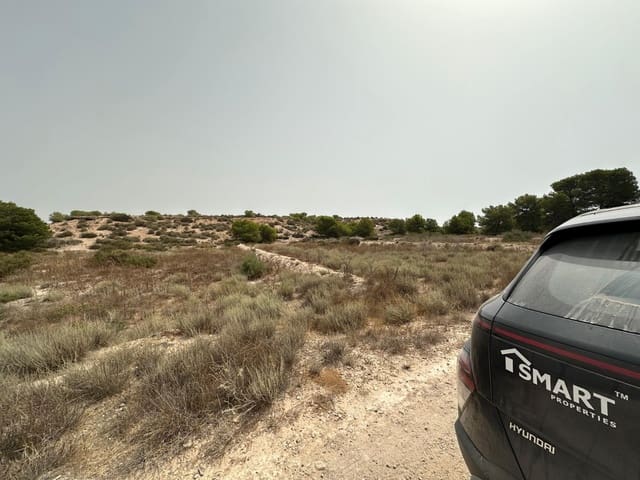 Solar/Parcela en La Marina, Elche / Elx en venta - 30.000 € (Ref: 9975966)