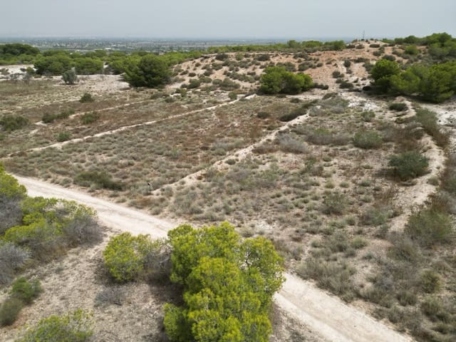 Solar/Parcela en La Marina, Elche / Elx en venta - 30.000 € (Ref: 9975966)
