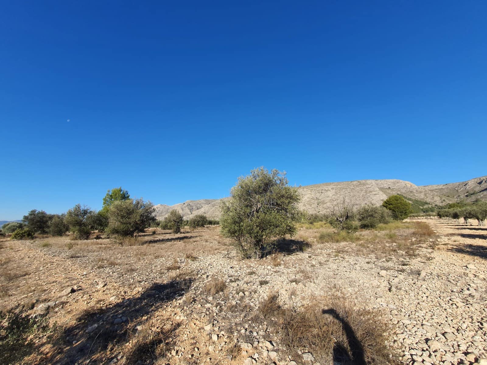 Solar/Parcela en Villena en venta - 56.500 € (Ref: 9985894)