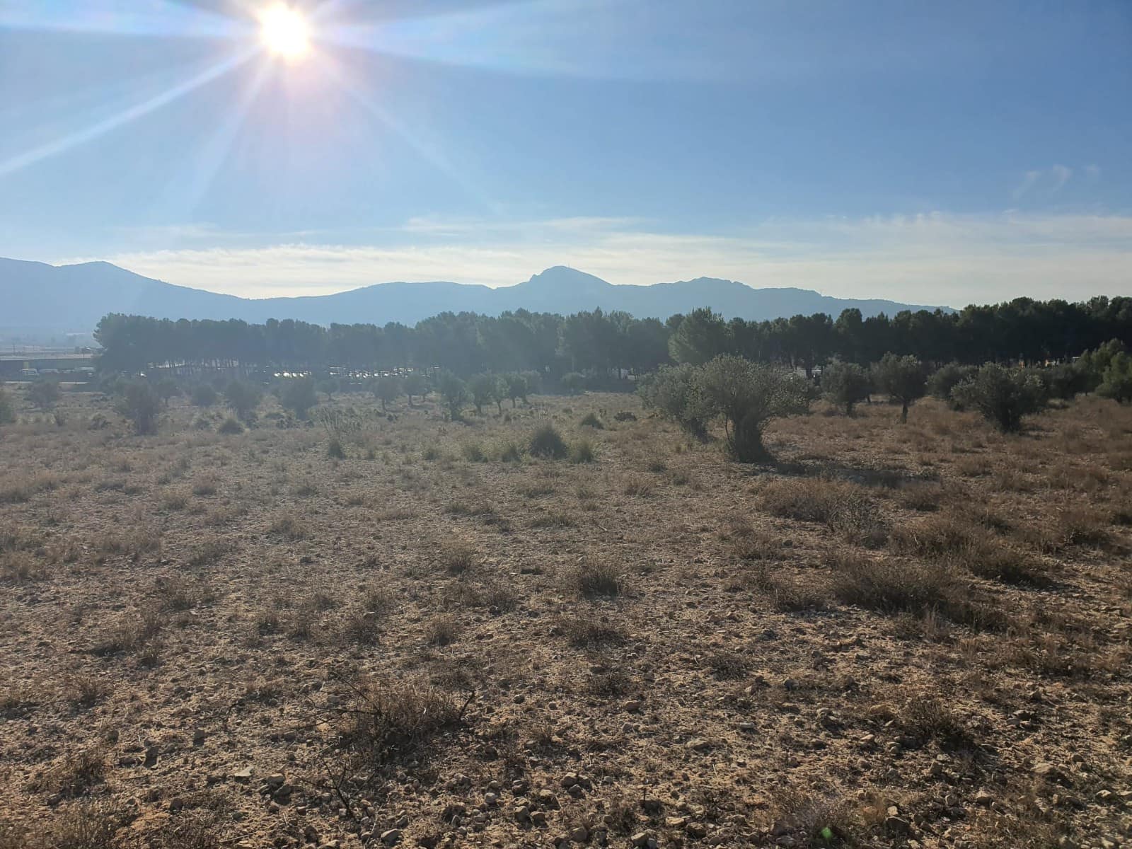Solar/Parcela en Villena en venta - 56.500 € (Ref: 9985894)