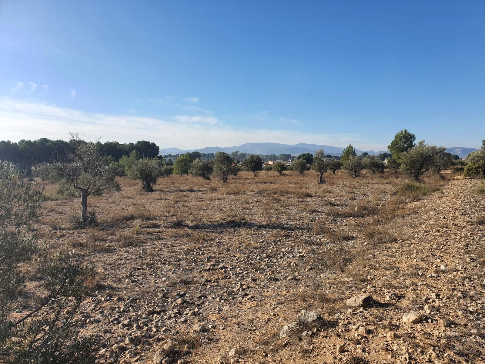 Solar/Parcela en Villena en venta - 56.500 € (Ref: 9985894)