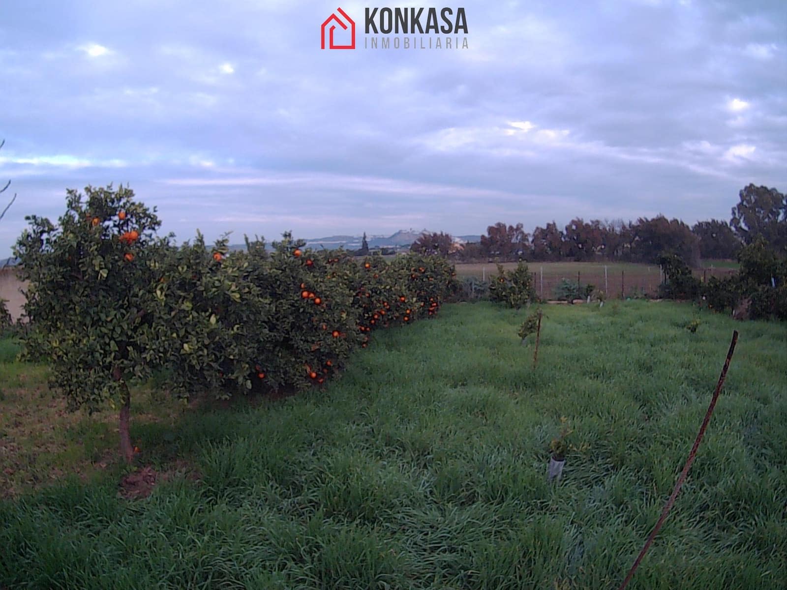 6 bedroom Finca/Country House for sale in Arcos de la Frontera with pool - € 475,000 (Ref: 9446785)