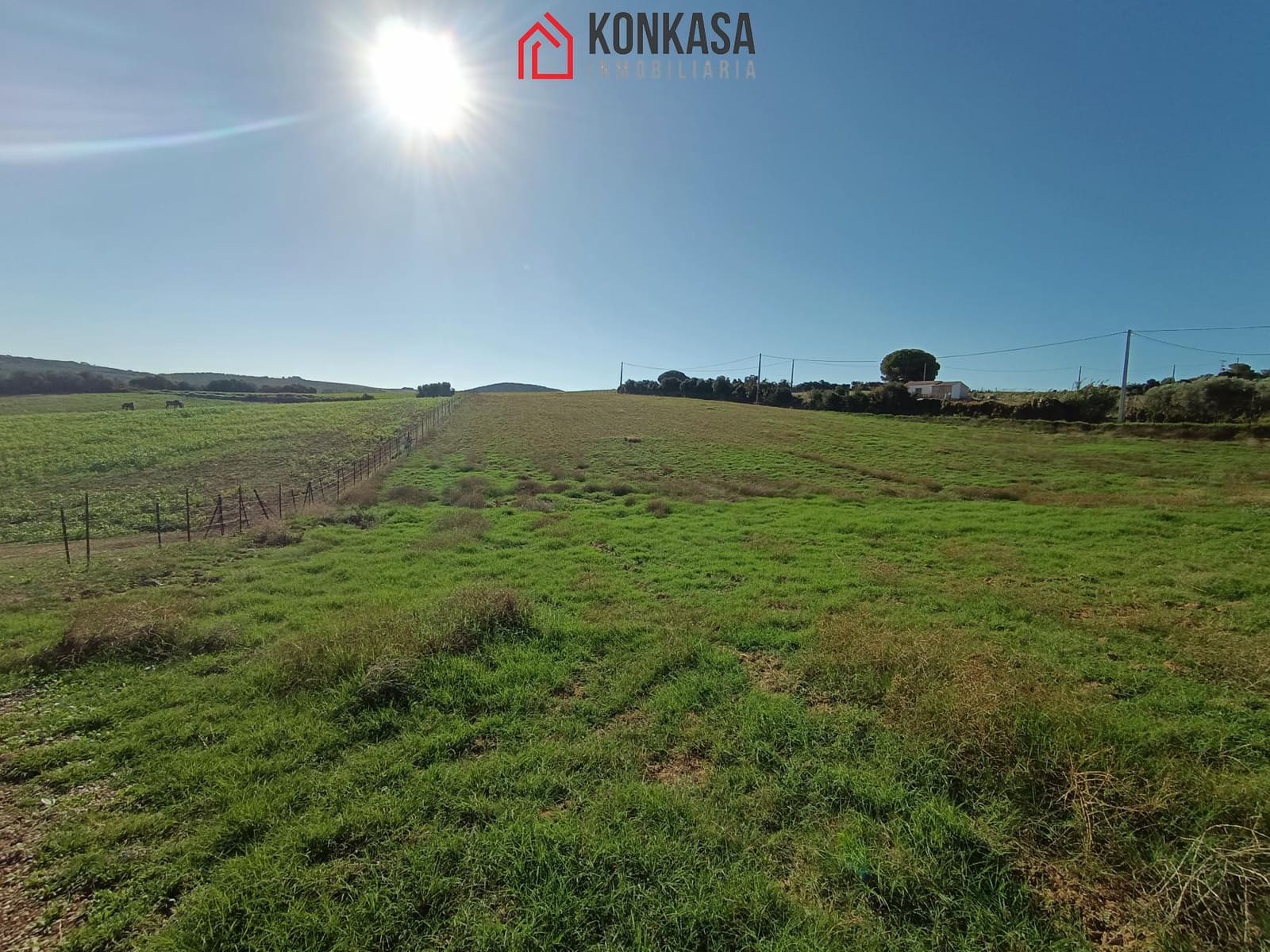 Ubebygd land til salgs i Arcos de la Frontera - € 65 000 (Ref: 9446804)