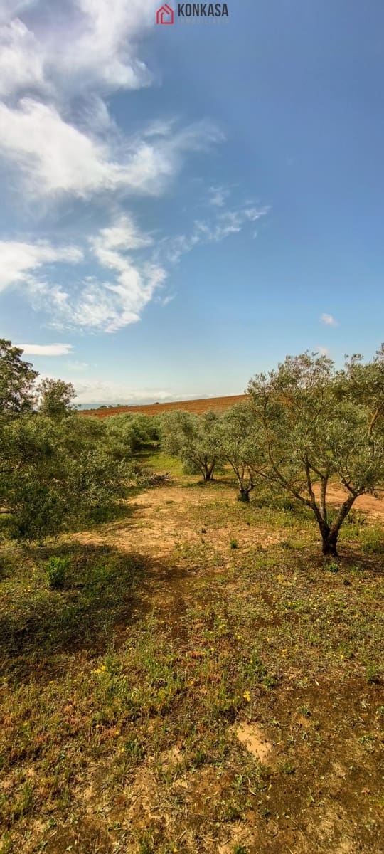 2 bedroom Finca/Country House for sale in Arcos de la Frontera - € 160,000 (Ref: 9446808)