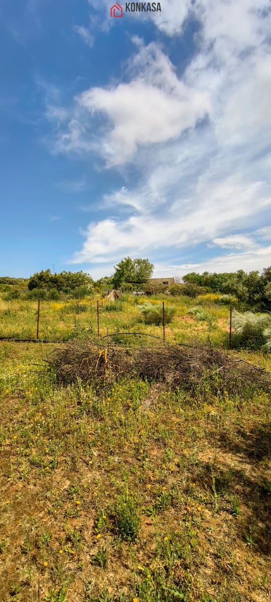 2 bedroom Finca/Country House for sale in Arcos de la Frontera - € 160,000 (Ref: 9446808)