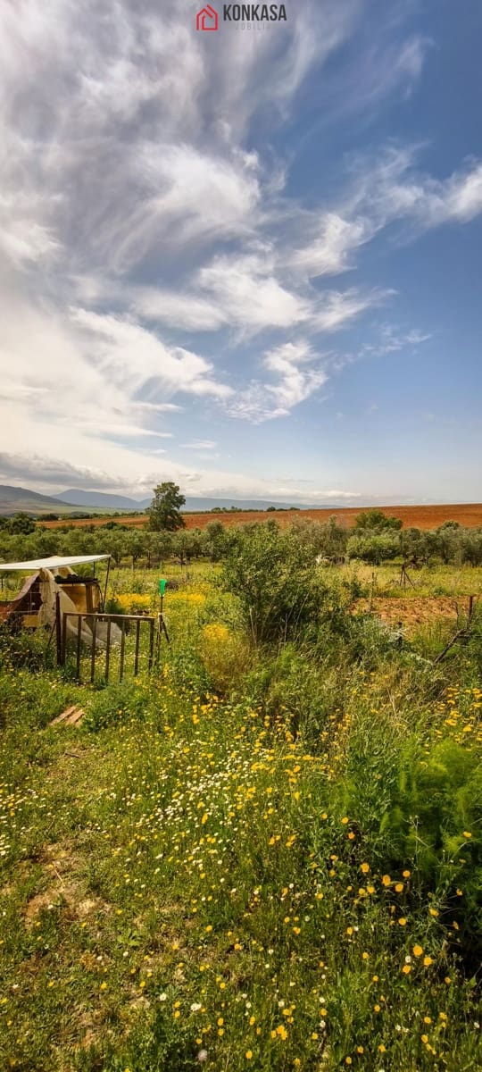 2 bedroom Finca/Country House for sale in Arcos de la Frontera - € 160,000 (Ref: 9446808)