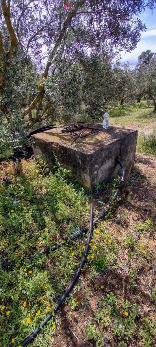 2 bedroom Finca/Country House for sale in Arcos de la Frontera - € 160,000 (Ref: 9446808)