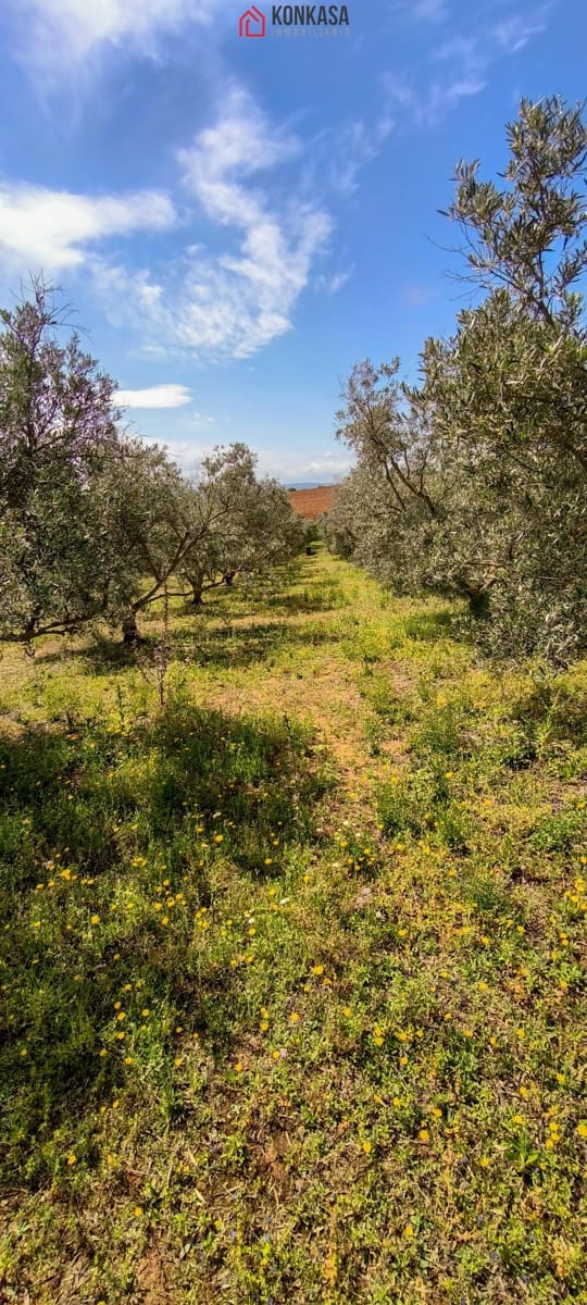 2 bedroom Finca/Country House for sale in Arcos de la Frontera - € 160,000 (Ref: 9446808)