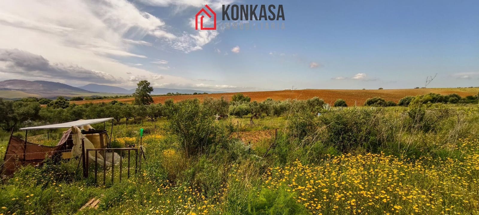 2 bedroom Finca/Country House for sale in Arcos de la Frontera - € 160,000 (Ref: 9446808)